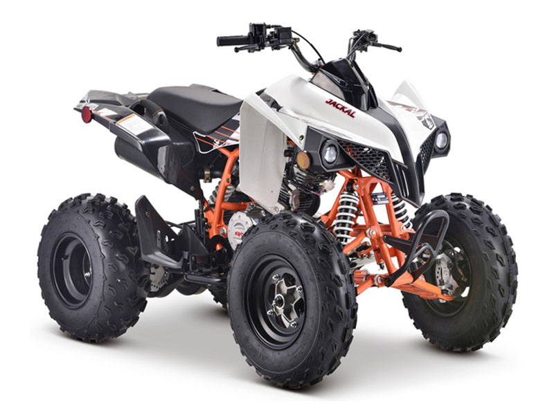Kayo☆ New 2025 Kayo Bull 300 EFI | ATVs in Wichita Falls TX | Green